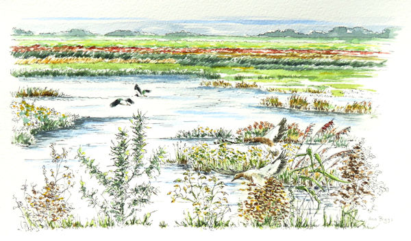 Welney Vista